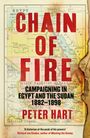 Peter Hart: Chain of Fire, Buch