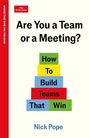 Nick Pope: Are You a Team or a Meeting?, Buch