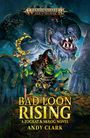 Andy Clark: Bad Loon Rising, Buch