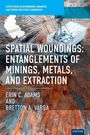 Erin C. Adams: Spatial Woundings, Buch