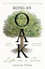 Laurent Tillon: Being an Oak, Buch