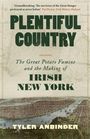 Tyler Anbinder: Plentiful Country, Buch