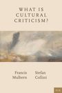 Francis Mulhern: What Is Cultural Criticism?, Buch
