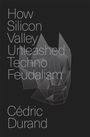 Cédric Durand: How Silicon Valley Unleashed Techno-feudalism, Buch