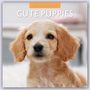 Red Robin Publishing Ltd.: Cute Puppies 2024 Square Wall Calendar, Buch
