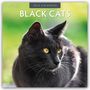 : Black Cats - Schwarze Katzen 2025 - 16-Monatskalender, KAL