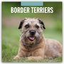 : Border Terriers - Border Terrier 2025 - 16-Monatskalender, KAL