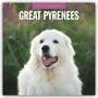 : Great Pyrenees - Pyrenäenberghund 2025 - 16-Monatskalender, KAL