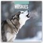 : Huskies - Husky - Huskys 2025 - 16-Monatskalender, KAL