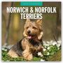 : Norwich Terrier und Norfolk Terrier 2025 - 16-Monatskalender, KAL