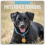 : Patterdale Terrier - Schwarzer Terrier 2025 - 16-Monatskalender, KAL