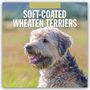 : Soft-Coated Wheaten Terriers - Soft-Coated Wheaten Terrier 2025 - 16-Monatskalender, KAL
