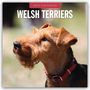 : Welsh Terriers - Welsh Terrier 2025 - 16-Monatskalender, KAL