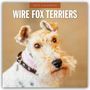 : Wire Fox Terriers - Drahthaar Foxterrier 2025 - 16-Monatskalender, KAL