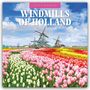 Robin Red: Windmills of Holland - Windmühlen der Niederlande 2025 - 16-Monatskalender, KAL