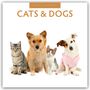 Robin Red: Cats & Dogs - Katzen & Hunde 2026 - 16-Monatskalender, KAL