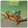 Robin Red: Frogs - Frosch - Frösche 2026 - 16-Monatskalender, KAL