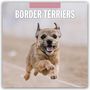 Robin Red: Border Terriers - Border Terrier 2026 - 16-Monatskalender, KAL
