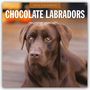 Robin Red: Chocolate Labrador Retrievers - Schokoladenbraune Labrador Retriever 2026 - 16-Monatskalender, KAL