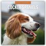 Robin Red: Cocker Spaniels - Cocker Spaniel 2026 - 16-Monatskalender, KAL
