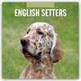 Robin Red: English Setters - Englisch Setter 2026 - 16-Monatskalender, KAL