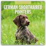 Robin Red: German Shorthaired Pointers - Deutscher Kurzhaar - Deutscher Kurzhaariger Vorstehhund 2026 - 16-Monatskalender, KAL