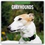 Robin Red: Greyhound - Windhund 2026 - 16-Monatskalender, KAL