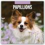 Robin Red: Papillons - Schmetterlingshund - Zwergspaniel 2026 - 16-Monatskalender, KAL