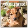 Robin Red: Patterdale Terriers - Patterdale Terrier - Schwarzer Terrier 2026 - 16-Monatskalender, KAL