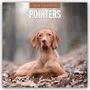 Robin Red: Pointers - Vorstehhund - Pointer 2026 - 16-Monatskalender, KAL