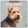 Robin Red: Welsh Terriers - Welsh Terrier 2026 - 16-Monatskalender, KAL