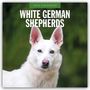 Robin Red: White German Shepherds - Weißer Deutscher Schäferhund 2026 - 16-Monatskalender, KAL