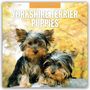 Robin Red: Yorkshire Terrier Puppies - Yorkshire Terrier Hundewelpen 2026 - 16-Monatskalender, KAL