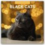 Text: "2027 Calendar" und "Black Cats". Eine schwarze Katze liegt vor einem unscharfen Hintergrund mit goldenen Lichtern.