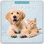 „2027 Calendar“, „Cats & Dogs“, Hund und Katze liegen nebeneinander vor hellem Hintergrund.