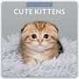 Text: "2027 Calendar", "Cute Kittens". Ein flauschiges Kätzchen sitzt auf einem weichen, grauen Teppich.