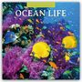 Robin Red: Ocean Life - Leben im Ozean 2026 - 16-Monatskalender, KAL