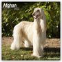 Avonside Publishing: Afghan - Afghanen 2024 - 16-Monatskalender, KAL