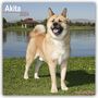 Avonside Publishing Ltd.: Akitas 2024 - 16-Monatskalender, KAL