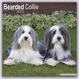 Avonside Publishing Ltd.: Bearded Collie 2024 - 16-Monatskalender, KAL