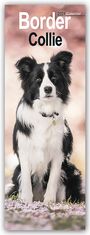 Avonside Publishing Ltd: Border Collies 2024, KAL