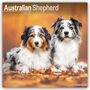 Avonside Publishing Ltd: Australian Shepherd - Australische Schäferhunde 2025 - 16-Monatskalender, KAL