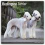 Avonside Publishing Ltd.: Bedlington Terrier 2025- 16-Monatskalender, KAL