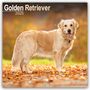 Avonside Publishing Ltd: Golden Retriever 2025 - 16-Monatskalender, KAL