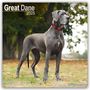 Avonside Publishing Ltd: Great Dane - Dänische Dogge 2025 - 16-Monatskalender, KAL