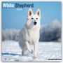 Avonside Publishing Ltd.: White German Shepherd - Weißer Schäferhund 2025 - 16-Monatskalender, KAL