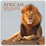 Avonside Publishing Ltd: African Wildlife - Afrikanische Tierwelt 2025 - 16-Monatskalender, KAL