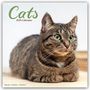Avonside Publishing: Cats - Katzen 2025 - 16-Monatskalender, KAL