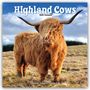 Avonside Publishing Ltd: Higland Cows - Hochland Rinder 2025 - 16-Monatskalender, KAL