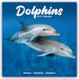 Avonside Publishing Ltd: Dolphins - Delfine - Delphine 2025 - 16-Monatskalender, KAL